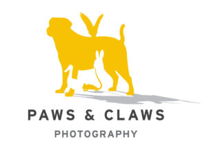 Paws and Claws Photography
