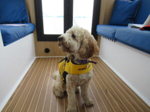 Dog Friendly Boat Hire