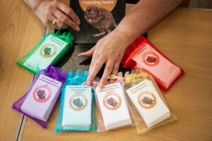 Sloth or Beaver Coaching Toolkit® card sets